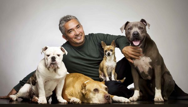 cesar-millan