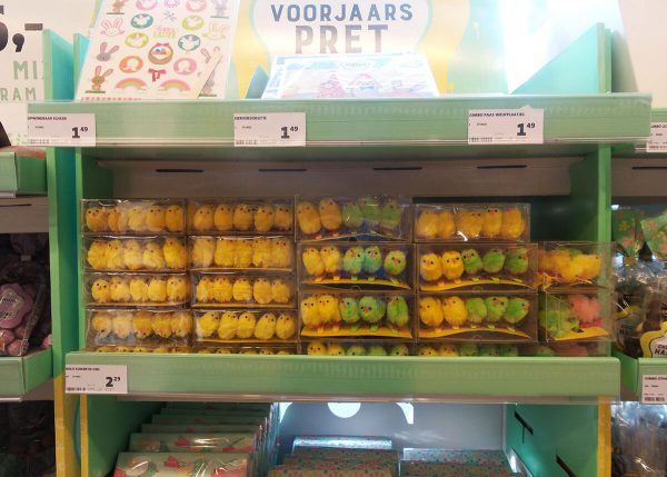 paas kuikentjes in kartonnen schapen in de winkel